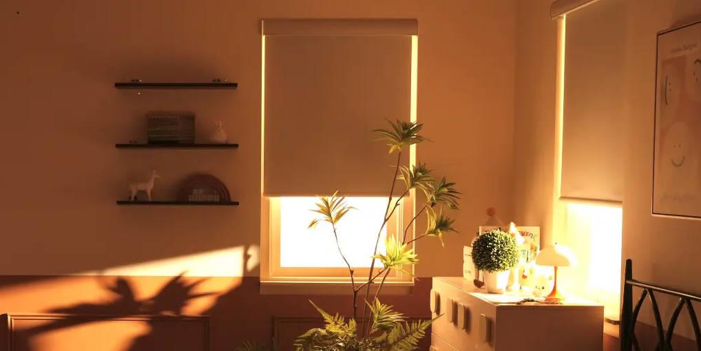 The Best Smart Window Shades and Blinds